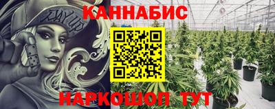 амф Дубна
