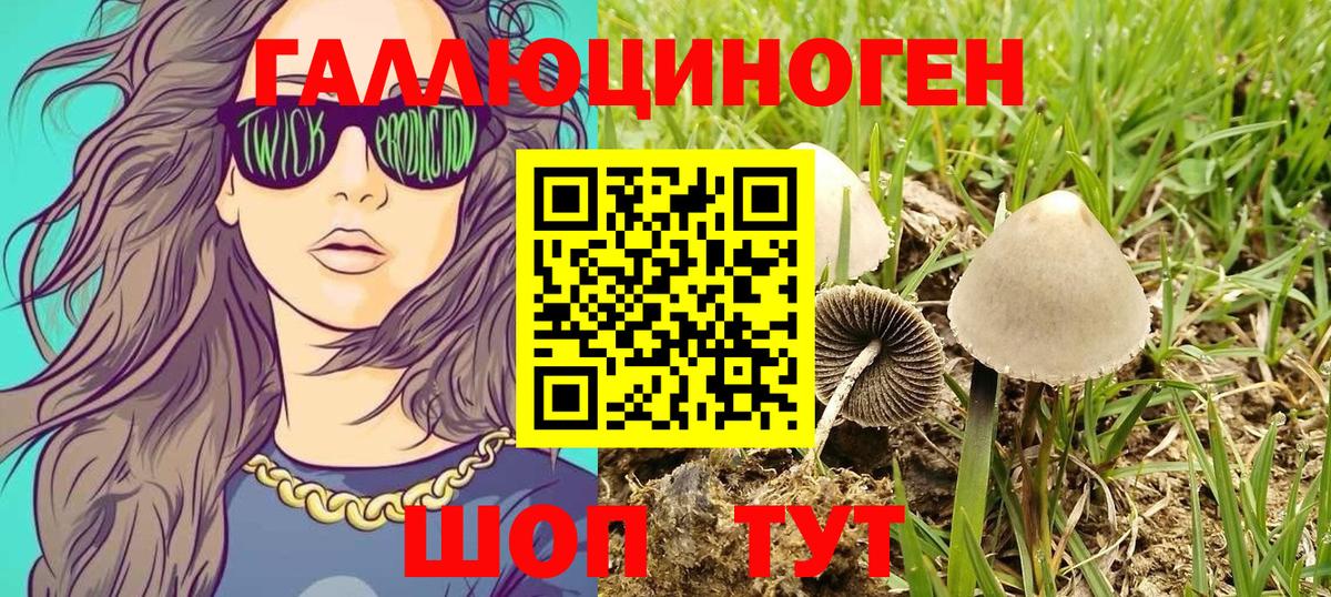 Галлюциногенные грибы мухоморы Кушва