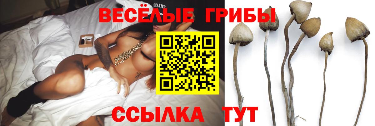 Галлюциногенные грибы Magic Shrooms  Вход с VPN  Кушва  Псилоцибиновые грибы MAGIC MUSHROOMS 